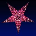 Purple Flower star lantern