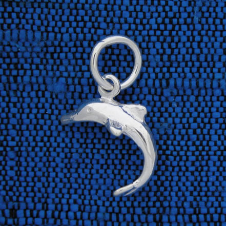 Sterling silver dolphin charm.