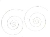 Sterling Spiral  Earrings