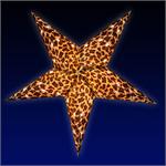 Leopard Star Lights